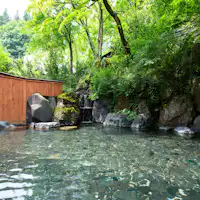 บ่อน้ำพุร้อนกลางแจ้ง