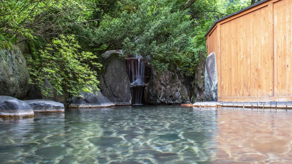 Echigo Yuzawa Onsen Yuzawa Toei Hotel
