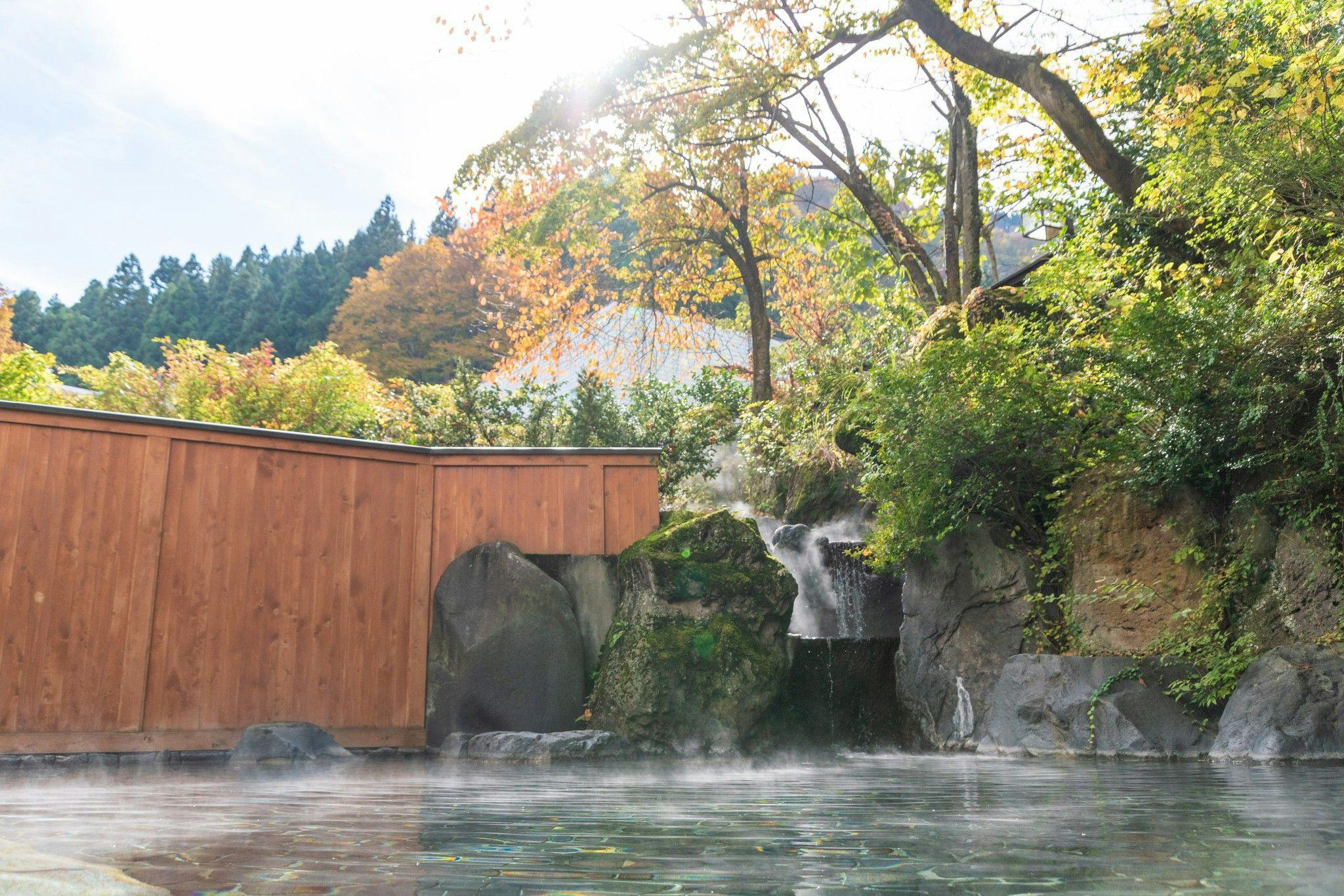Echigo Yuzawa Onsen Yuzawa Toei Hotel