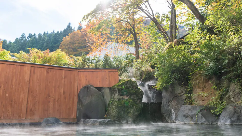 Echigo Yuzawa Onsen Yuzawa Toei Hotel