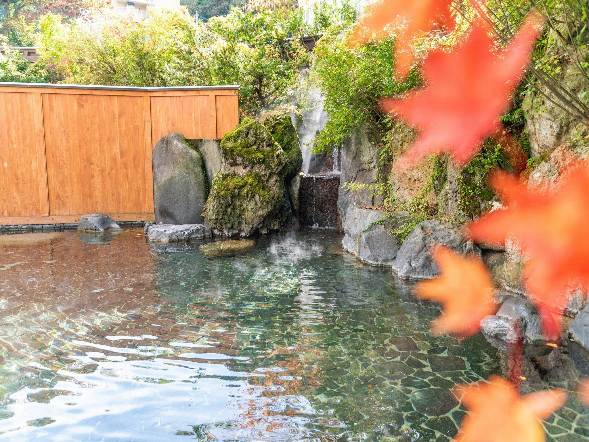 Echigo Yuzawa Onsen Yuzawa Toei Hotel