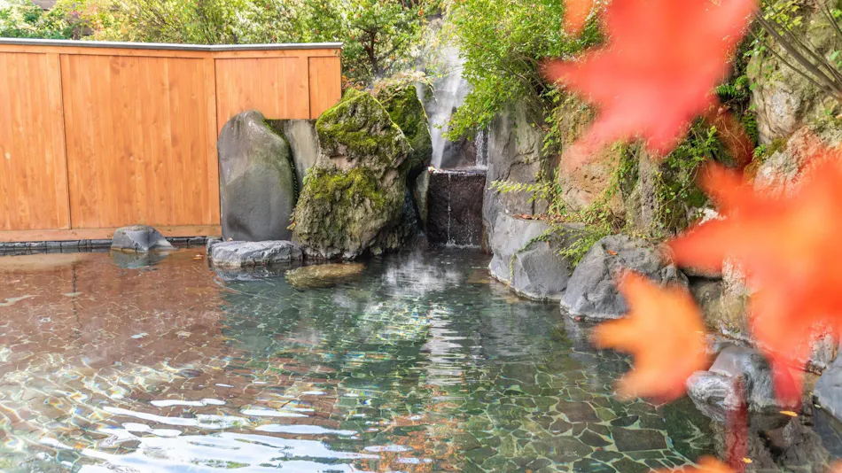 Echigo Yuzawa Onsen Yuzawa Toei Hotel