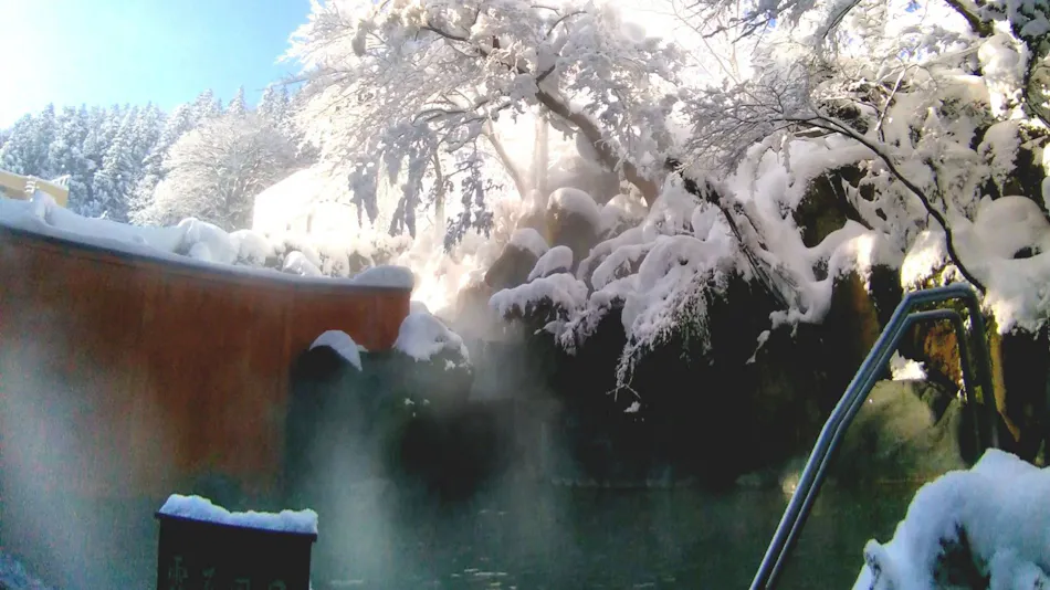 Echigo Yuzawa Onsen Yuzawa Toei Hotel