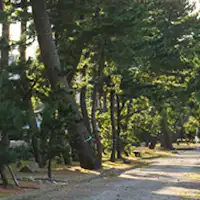 Alam Futami