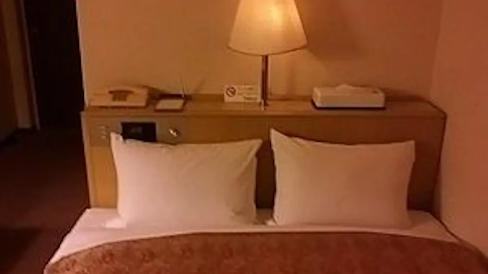 Isehara Daiichi Hotel