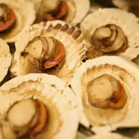 หอยเชลล์ย่าง