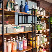 Peminjaman sabun mandi organik juga tersedia.