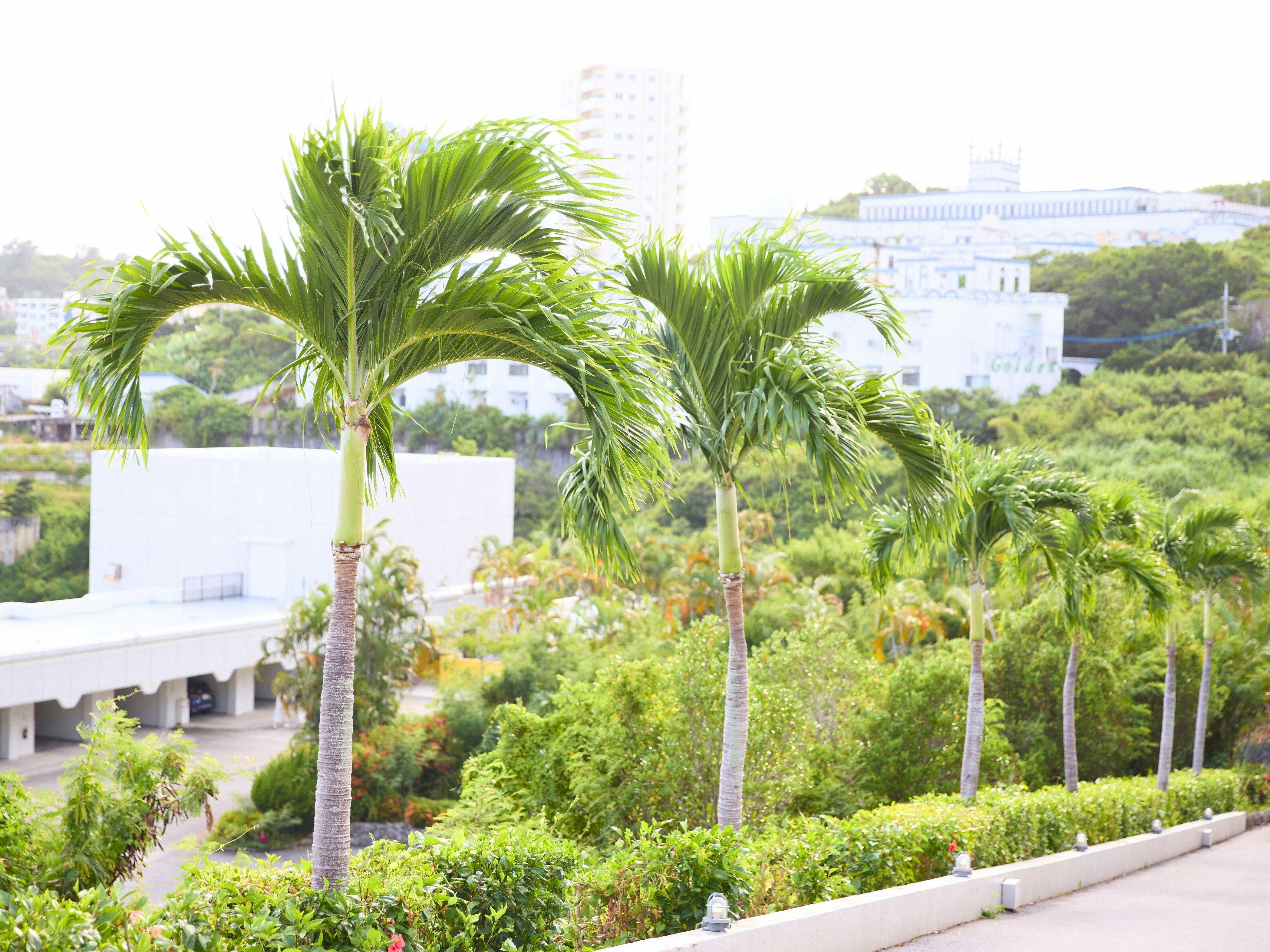 Rycom Family Resort Hotel