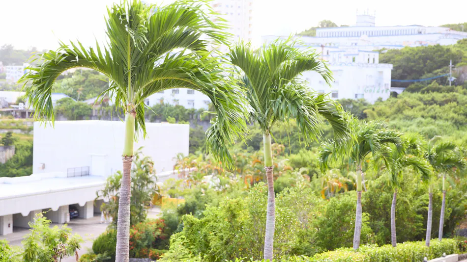 Rycom Family Resort Hotel