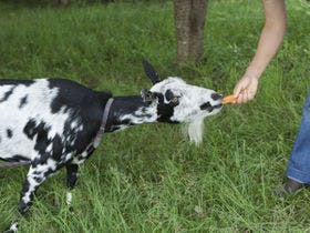 信州愛和の森ホテル