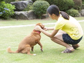 信州愛和の森ホテル