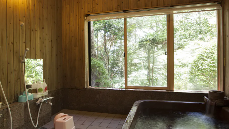 Shinshu Aiwanomori Hotel