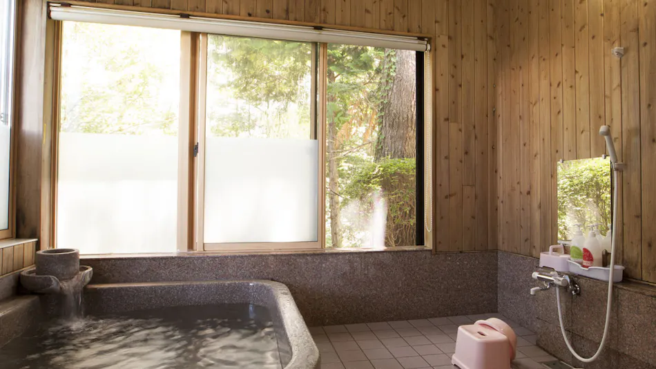 Shinshu Aiwanomori Hotel