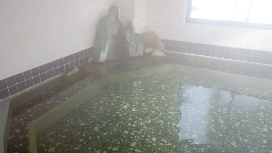 Nagaoka Kamaburo Onsen