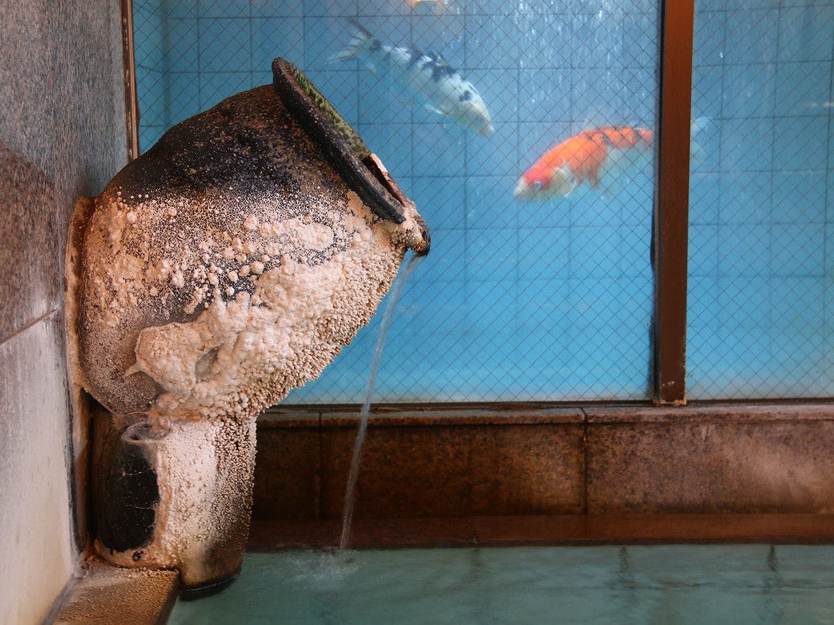 Ebisuya Ryokan