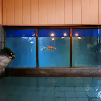 ห้องอาบน้ำรวมขนาดใหญ่พร้อมปลาคาร์ฟแหวกว่าย