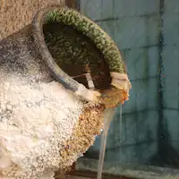 #น้ำพุร้อน การเกาะติดของแร่ธาตุเป็นหลักฐานของการไหลจากแหล่งกำเนิดโดยตรง