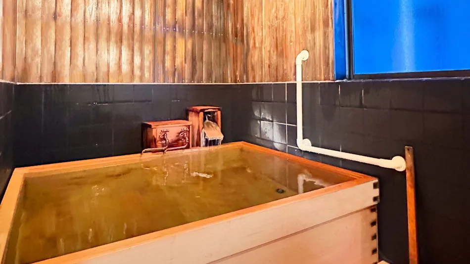 Shinshu Togura Kamiyamada Onsen Tamanoyu