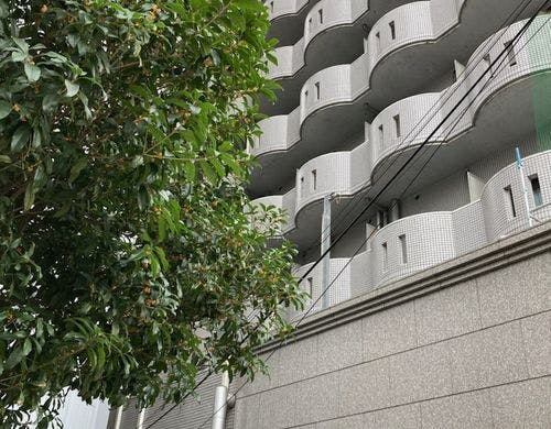 東横inn津田沼駅北口 の宿泊プラン 予約 Yahoo トラベル