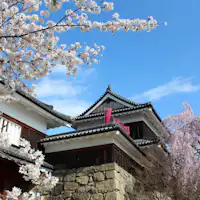 上田城跡公園の桜