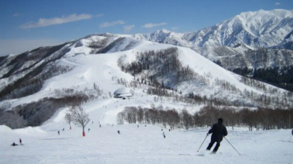 Apricot Pension