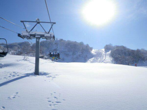 Apricot Pension
