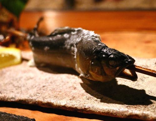 季節の川魚「鮎」