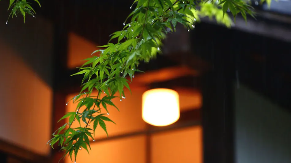 Yamakawa ZENZO
