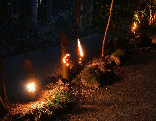 通路を照らす竹灯り