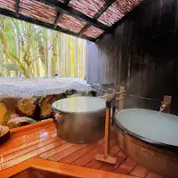 전용 노천탕 - 금붕어