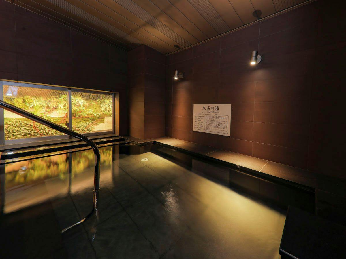 Natural Hot Spring Taishi no Yu Super Hotel Sapporo North 5 Jo Street