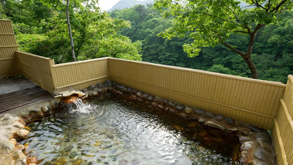Kinugawa Onsen Zekkei no Yado Kashobo Fukumatsu