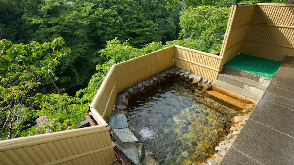 Kinugawa Onsen Zekkei no Yado Kashobo Fukumatsu