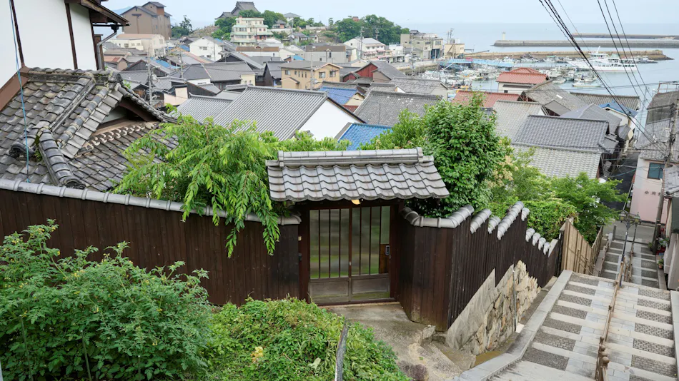 Tomo Nyahn
