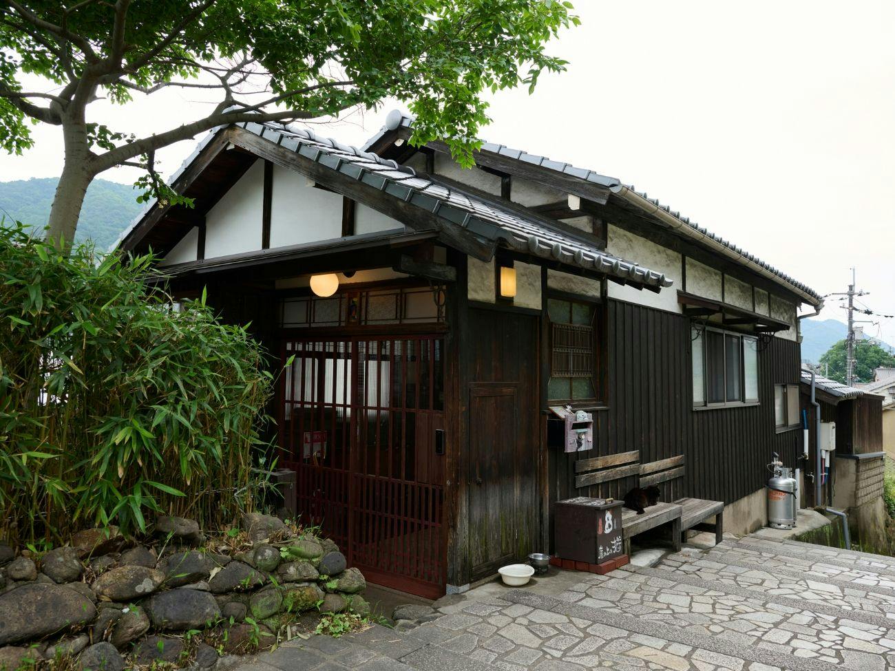 Tomo Nyahn
