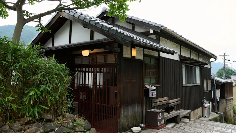 Tomo Nyahn