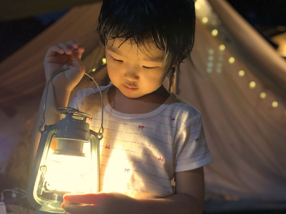 แผนพร้อมทัวร์ชมแสงหิ่งห้อยธรรมชาติ