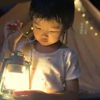 แผนพร้อมทัวร์ชมแสงหิ่งห้อยธรรมชาติ