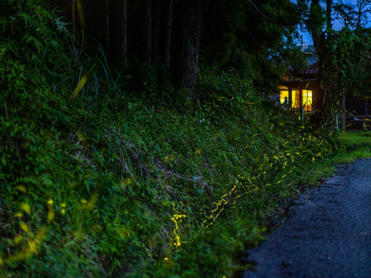 Washinmura- Traditional Houses, Glamping, and Nature: Forest, Mountain, River, Sea