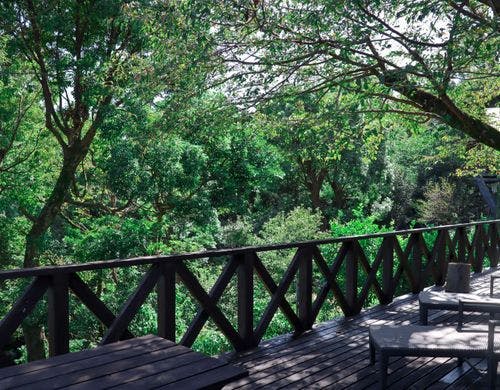 ライトアップされている看板が目印です。