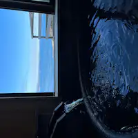 從浴室看到的景色