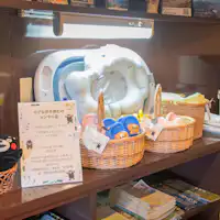 อุปกรณ์ให้เช่าสำหรับเด็กเล็ก