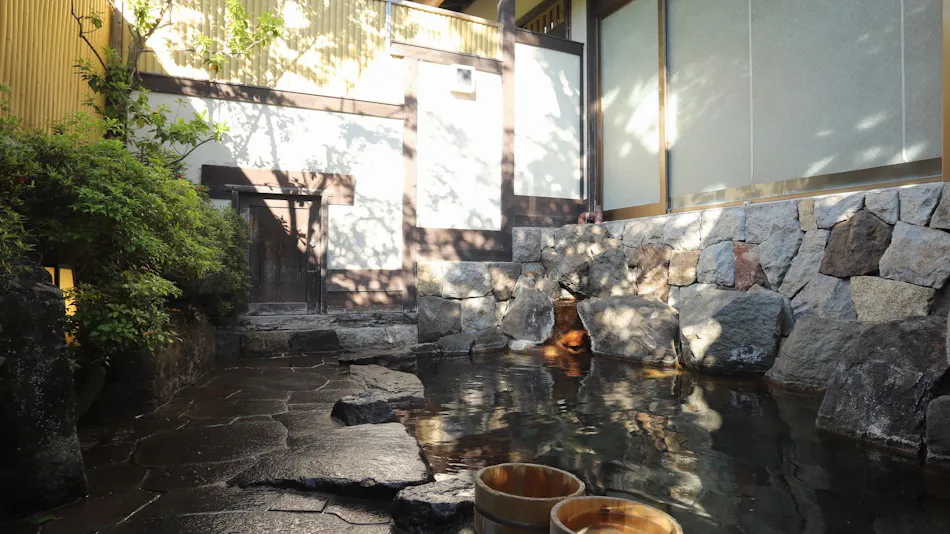 Nara-ya Ryokan, Nozawa Onsen, with Private Hot Spring Source