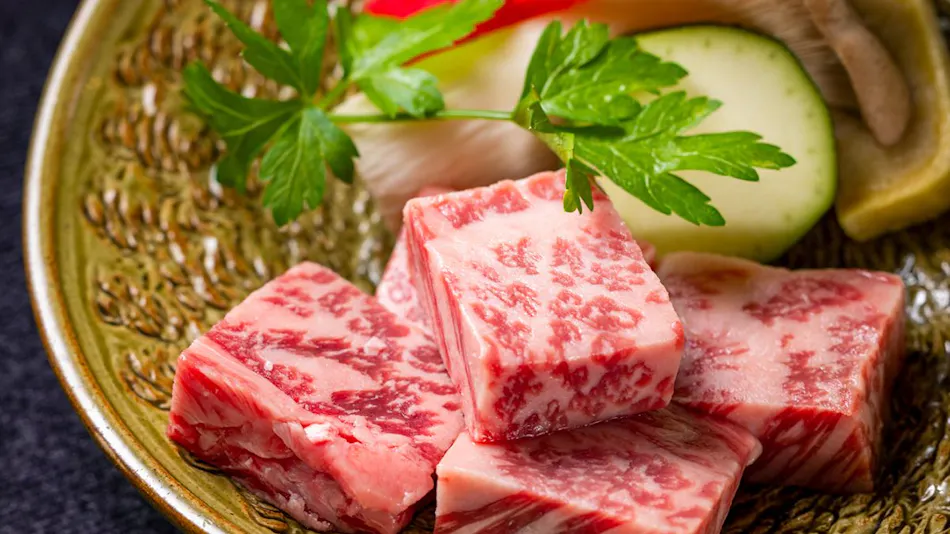 Kameyama Onsen Hotel