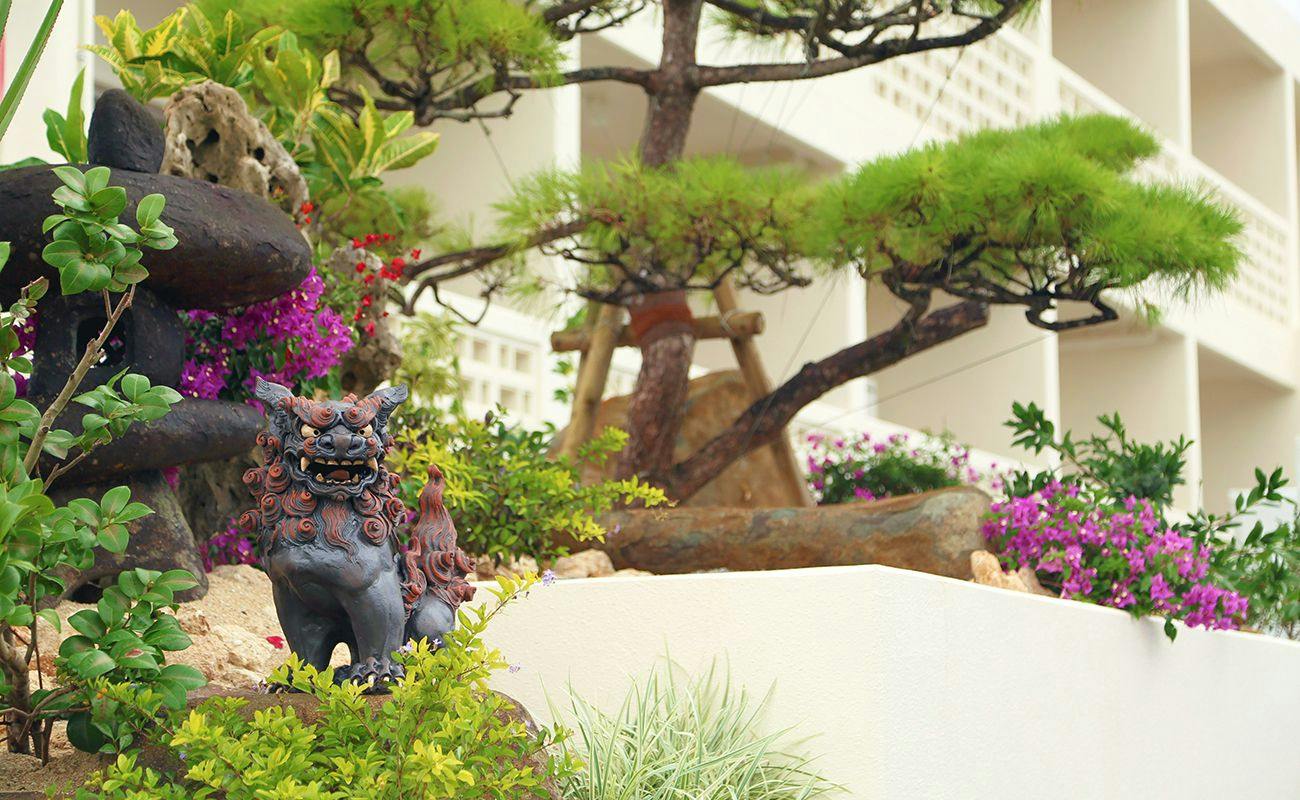 Bears Stay Kumejima Eef Beach