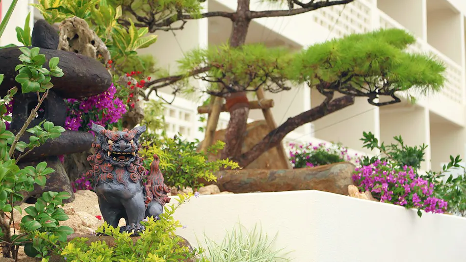 Bears Stay Kumejima Eef Beach