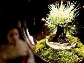 Ｇｕｅｓｔ　Ｈｏｕｓｅ　Ｏｕｍｉ　近江