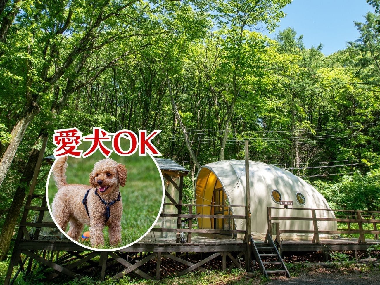 Nagano Glamping Base EnCamp
