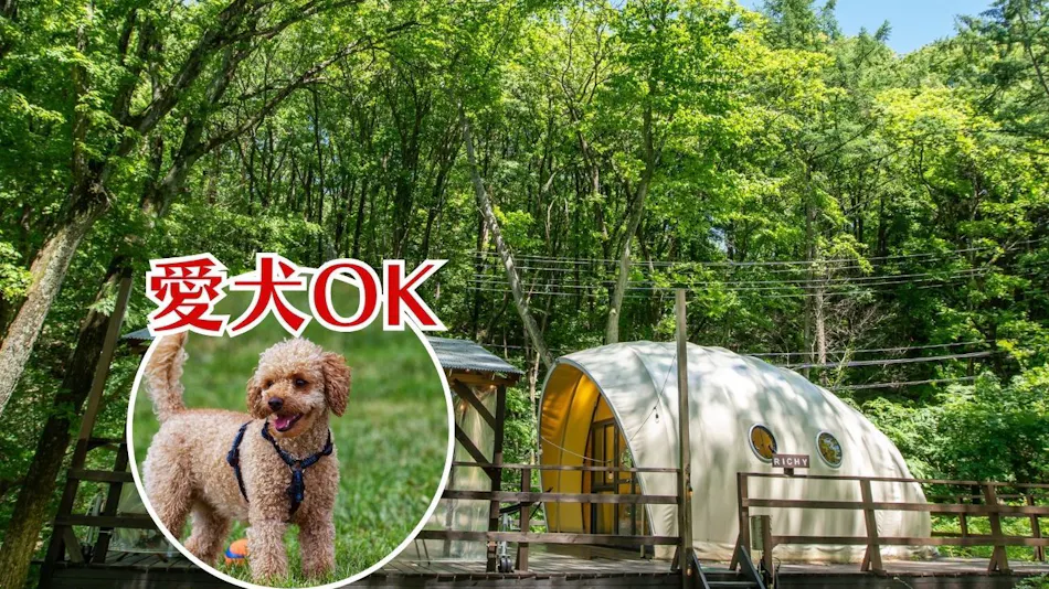 Nagano Glamping Base EnCamp