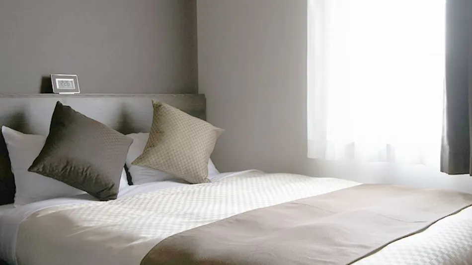 The Selecton Matsumoto